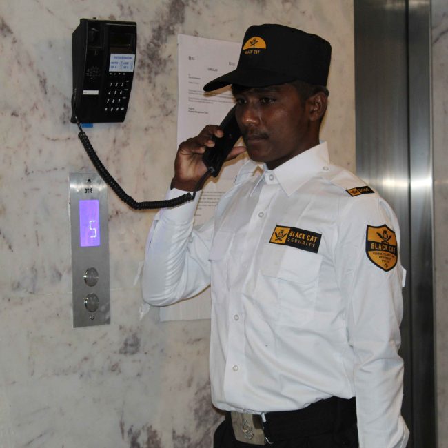 Electronic Security Systems